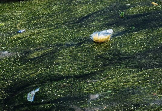 Líquidos residuales contaminantes.